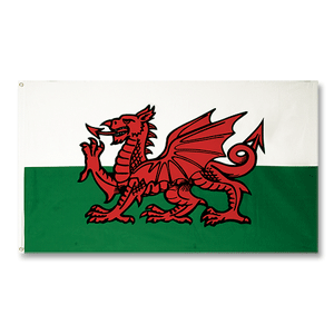 FB Wales Large Flag