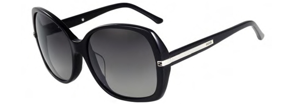 FS 5039 Chrome Sunglasses `FS 5039 Chrome