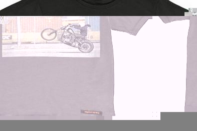 Biker Dalton T-shirt Charcoal grey `2 years,4