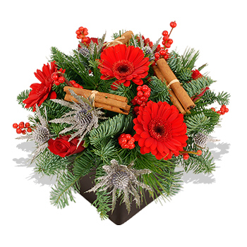 Fire and Ice Winter Cube Arrangement - flowers