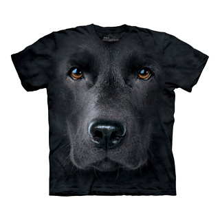 Big Face Labrador T-Shirt (Black Lab Medium)