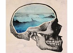 Firebox Brainwaves (Large Print Only)