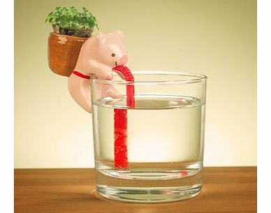 Firebox Chuppon Self Watering Animal Planter (Pig)