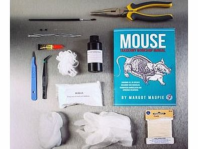 Mouse Taxidermy Kit