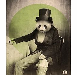 Firebox Proper Panda (Large Print Only)