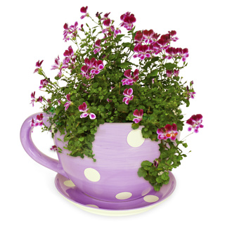 Teacup Plant Pots (Purple with White Spots)