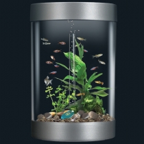 Biube Coldwater Aquarium With Halogen Light