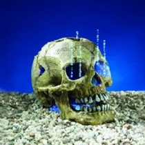 Classic Aqualumo Glowing Skull 8 Single