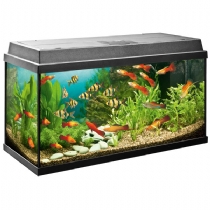Juwel Rekord 800 Aquarium Fish Tank Single