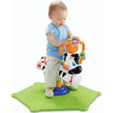 fisher -Price Go Baby Go - Bounce and Spin Zebra