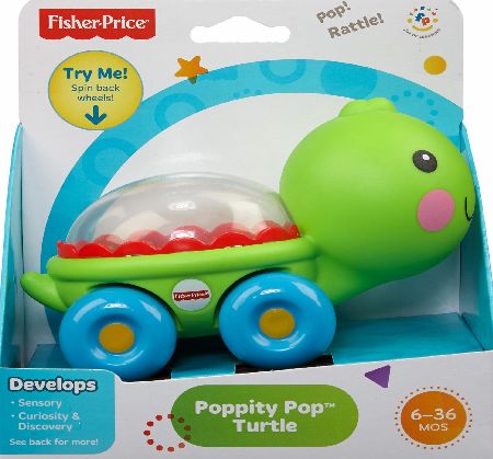 Fisher Price Poppity Pop Assortment