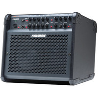 Discontinued Fishman Loudbox 100 Acoustic Amp