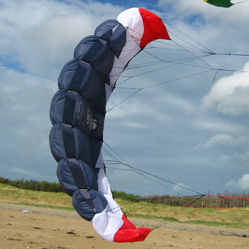 Flexifoil Sting 2 Kite - 1.2m Line And Handles