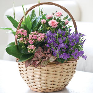 Flowers Direct Large Autumn Indoor Basket