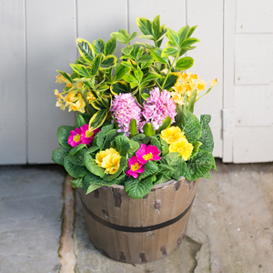 Flowers Direct Large Outdoor Planter