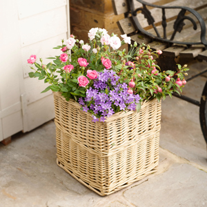 Large Summer Planted Outdoor Basket