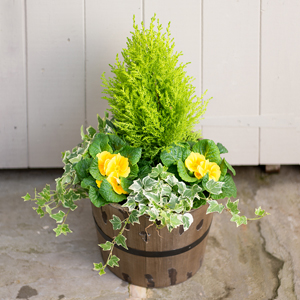 Flowers Direct Outdoor Planter