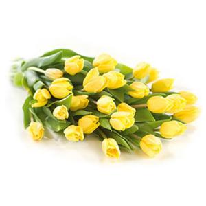 Flowers Direct Yellow Tulips