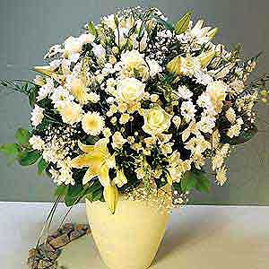 Flowers Directory Classic White