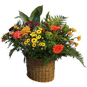 Flowers Directory Seasonal flowers with a Ceramic and Wicker vase.