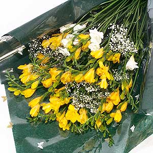 Flowers Directory Special Freesia Bouquet