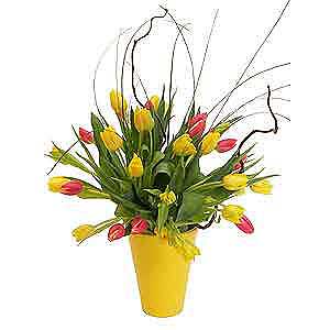 Flowers Directory Tulip Handtie with Willow