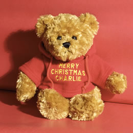 Toffee Bear Red Jumper