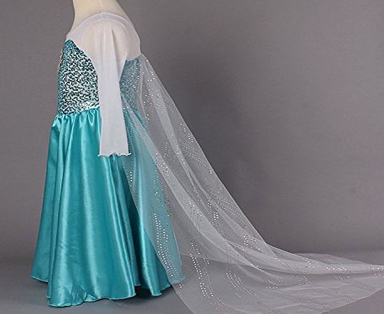 Disney Frozen Princess Elsa Inspired Dress up Costume Party Dress (4-5years) (110 cm)