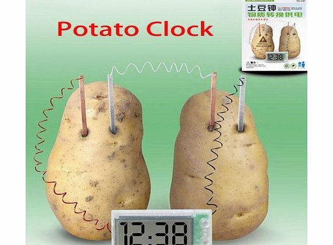 FreshGadgetz Green Science Potato Clock for Experiment Kit kids Lab Home School Toy