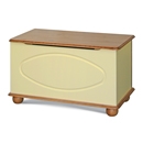 FurnitureToday Ferndale Painted Storage Chest