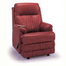 FurnitureToday Royams Carer Erica Leather Dual Riser Recliner