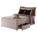 FurnitureToday Sealy Roulette bed