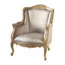 FurnitureToday Versailles Library silk chair