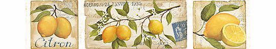 Galerie Aquarius Lemons Kitchen Wallpaper Border
