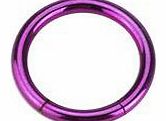 Titanium Plated Over 316L Surgical Stainless Steel 16 Gauge (1.2mm) Purple Segment Ring - 10mm Diameter