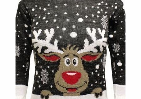 Generation Fashion  KIDS BOY GIRL REINDEER CHRISTMAS SNOW FLAKES RUDOLF WOMENS XMAS KNITTED JUMPER 5-14 (13-14, RED)