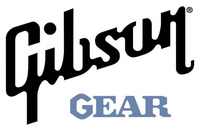 Gibson Acoustic Guitar Bridge Pins Rosewood