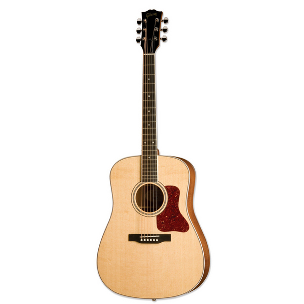 DSM Dreadnought Acoustic Guitar