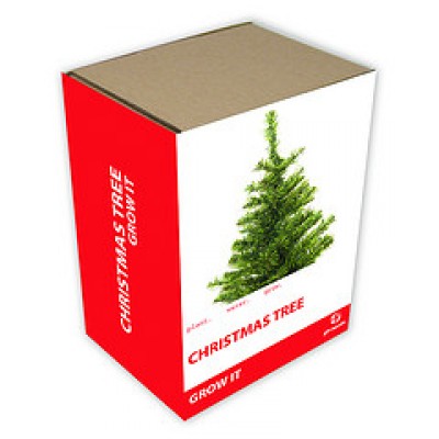 Gift republic Grow It: Christmas Tree