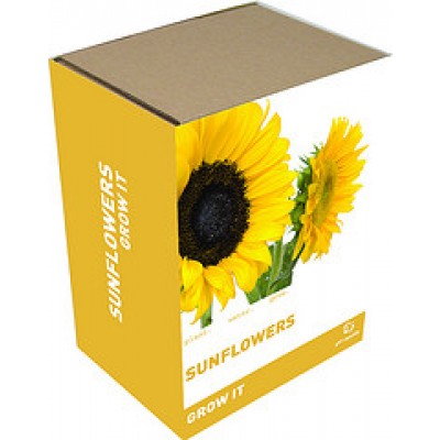 Gift Republic Grow It: Sunflowers