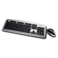 Multimedia Keyboard and Mouse Black and Silver PS/2