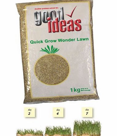 Good Ideas Quick Grown Wonder Lawn Seed to Grow A Luscious Green Lawn In Days.