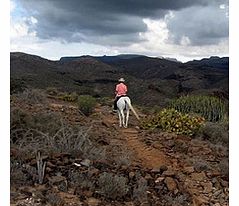 Gran Canaria Horse Riding Trip - not available -