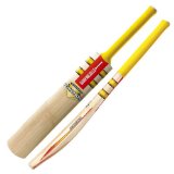 Gray-Nicolls Gray Nicolls Powerbow 3 Star Pre Prep Junior Cricket Bat (5)
