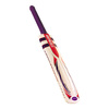 GRAY-NICOLLS Phoenix 5 Star Clearance Cricket Bat