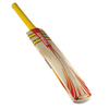 GRAY-NICOLLS Powerbow Blaze Junior Cricket Bat