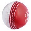 GRAY-NICOLLS Wonderball Swing Cricket Ball