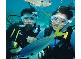 Green Island and Great Barrier Reef Adventure -