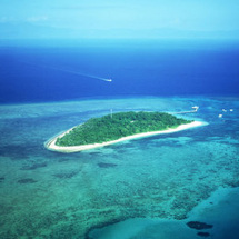 Island Reef Cruise - Adult