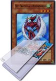 Greylight Limited Yu-Gi-Oh! Single Card(1st Edition):DP06-EN001 Neo Spacian Air Hummingbird